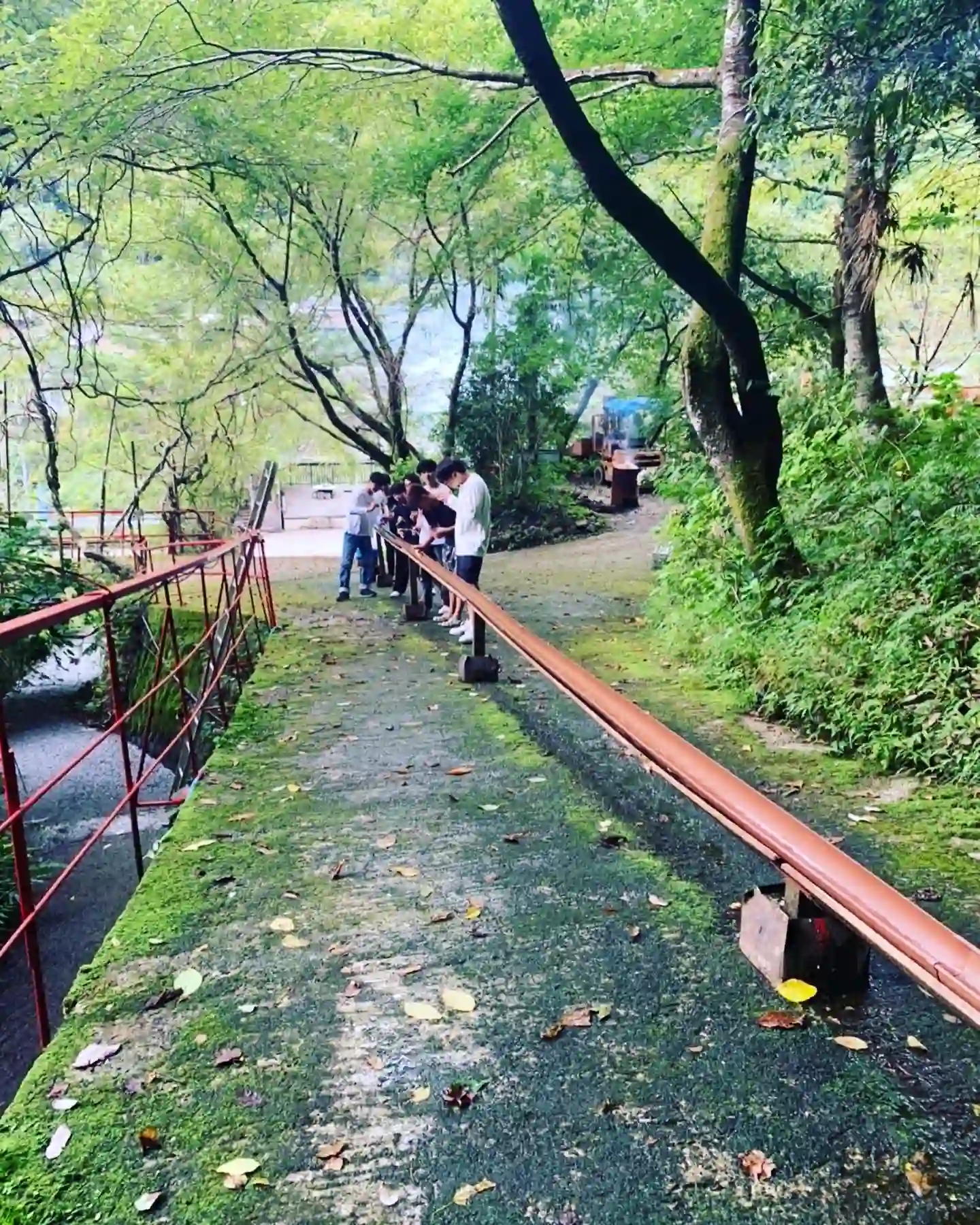 流しそうめん風景